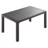 Τραπέζι Πολυπροπυλενίου Rattan 120x70x75cm